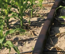 Tuyau caoutchouc nitrilique plat irrigation haute pression - 3